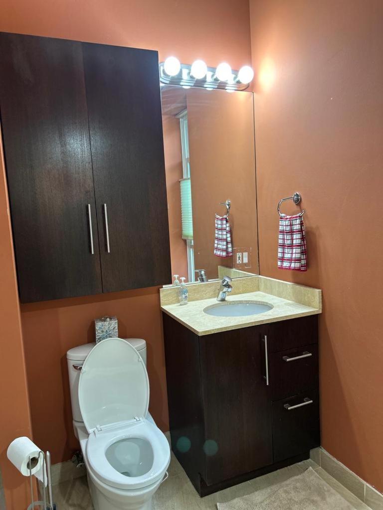 شقة Gorgeous North Kenwood Hyde Park Unit شيكاغو المظهر الخارجي الصورة