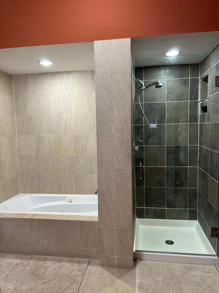 شقة Gorgeous North Kenwood Hyde Park Unit شيكاغو المظهر الخارجي الصورة